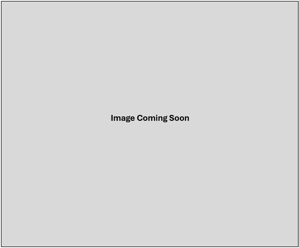Elites Single Focus Paddle